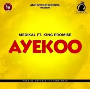 Instrumental: Medikal - Ayekoo ft King Promise
